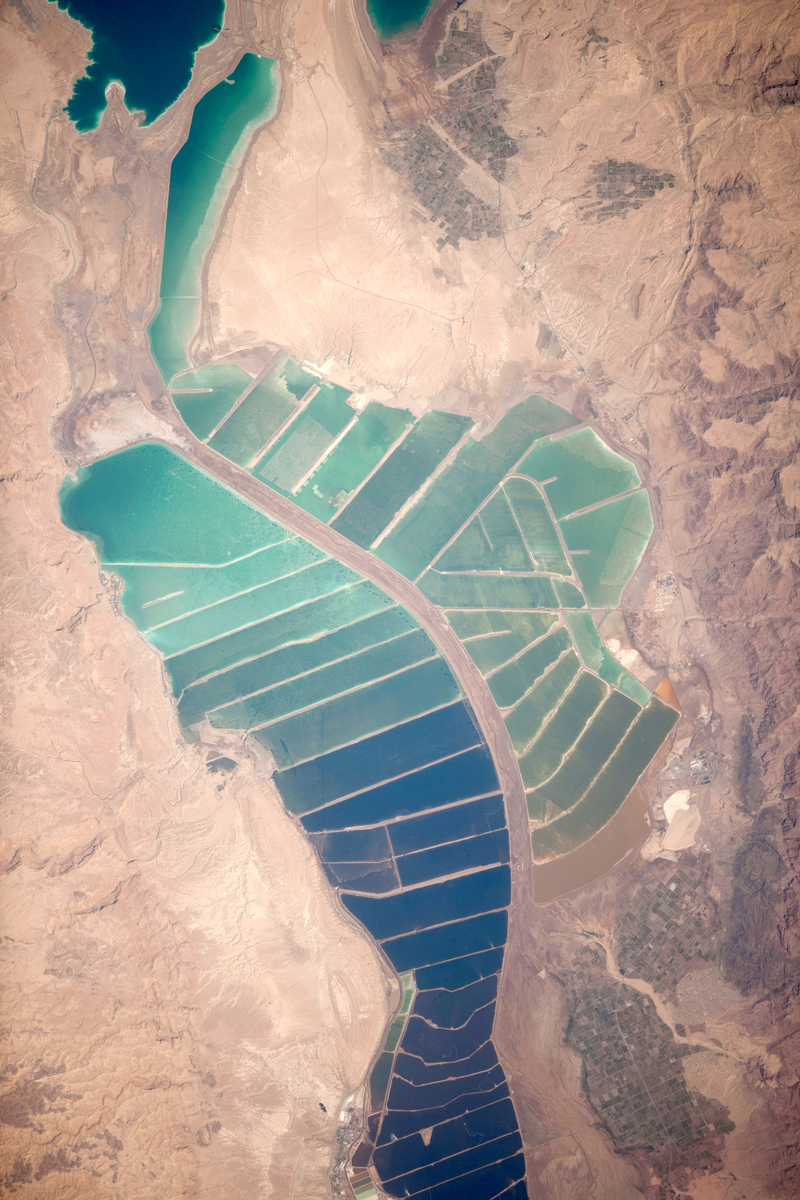 Illustration for article titled Salt Ponds at the Dead Sea